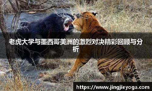 老虎大学与墨西哥美洲的激烈对决精彩回顾与分析